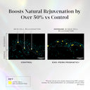 Exo-PDRN Prismatic+ 30ml